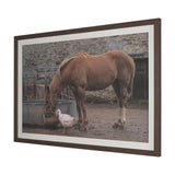 Sharing Lunch by Gert van den Bosch FramedPhoto Print Matted under Glass by Mercana at Eve Furniture