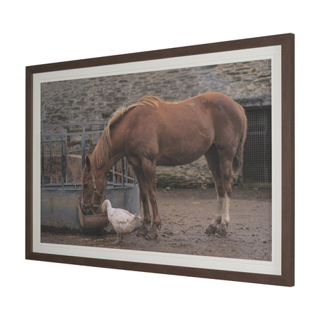 Sharing Lunch by Gert van den Bosch FramedPhoto Print Matted under Glass by Mercana at Eve Furniture