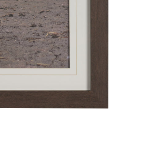 Sharing Lunch by Gert van den Bosch FramedPhoto Print Matted under Glass by Mercana at Eve Furniture