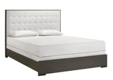 Sharpe Brown Queen Upholstered Panel Bed by Crown Mark at Eve Furniture