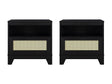 Sheridan Nightstand in Black (set of 2) by Manhattan Comfort at Eve Furniture