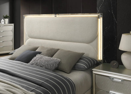 Sheridan Silver, Dark Walnut/White Queen Bed by Furniture of America at Eve Furniture