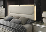 Sheridan Silver, Dark Walnut/White Queen Bed by Furniture of America at Eve Furniture