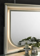 Sheridan Silver Mirror by Furniture of America at Eve Furniture