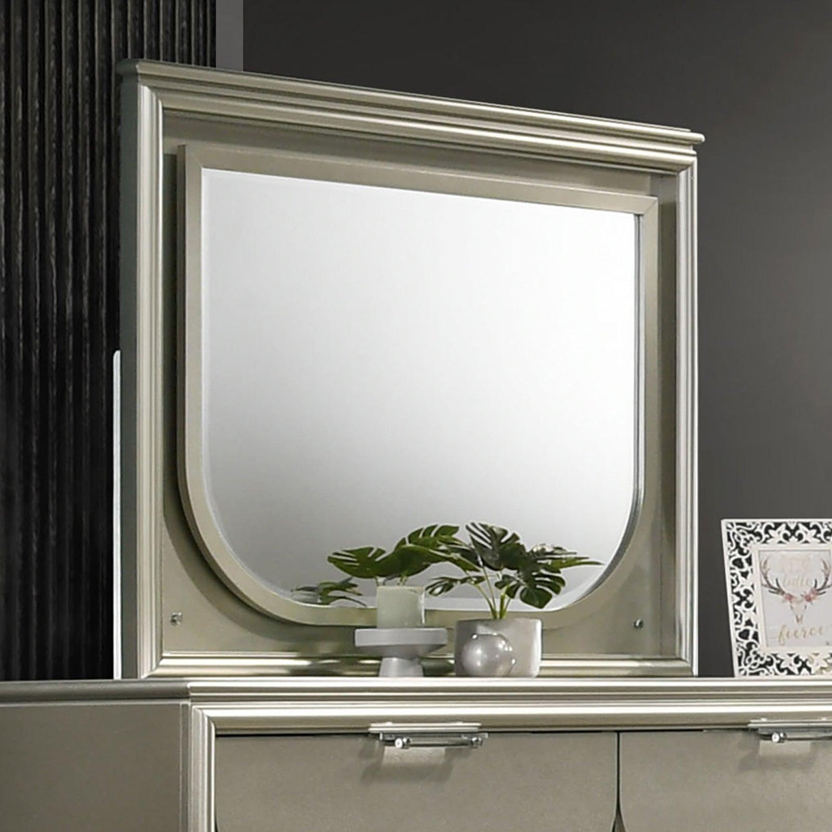 Sheridan Silver Mirror by Furniture of America at Eve Furniture