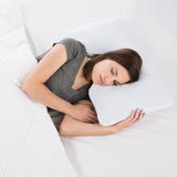 Shoulder Gel Dough + Z Gel White Queen Pillow by Malouf at Eve Furniture