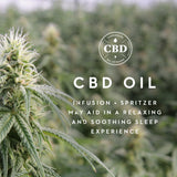 Shoulder Zoned Dough Cbd Oil King Pillow by Malouf at Eve Furniture