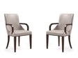 Shubert Faux Leather and Velvet Dining Armchair in Light Grey (set of 2) by Manhattan Comfort at Eve Furniture
