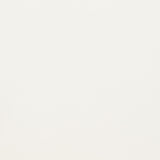 Sibu Dining Chair Cream by Zuomod at Eve Furniture