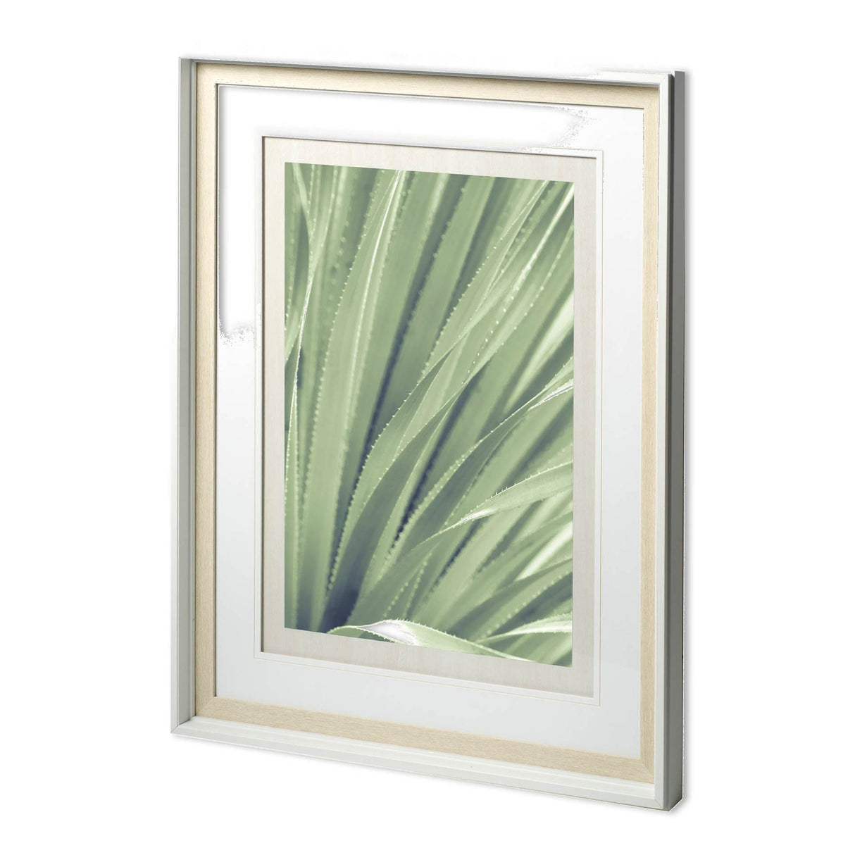 Sierra Madre - Framed Art Photograph Matted under Glass by Mercana at Eve Furniture
