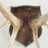 Sika I Natural Finish set of Replica Deer Antlers by Mercana at Eve Furniture