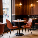 Silloth Brown Armless Dining Chair (Set of 2) by Zuomod at Eve Furniture