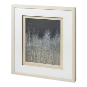 Silver Forest I by Frank, Assaf a Framed Photo Art Print Matted under Glass by Mercana at Eve Furniture