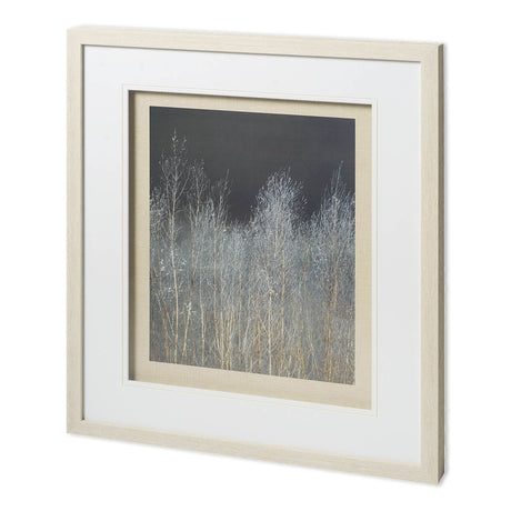 Silver Forest I by Frank, Assaf a Framed Photo Art Print Matted under Glass by Mercana at Eve Furniture