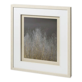 Silver Forest III by Frank, Assaf a Framed Photo Art Print Matted under Glass by Mercana at Eve Furniture