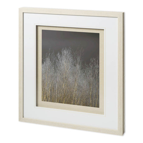 Silver Forest III by Frank, Assaf a Framed Photo Art Print Matted under Glass by Mercana at Eve Furniture