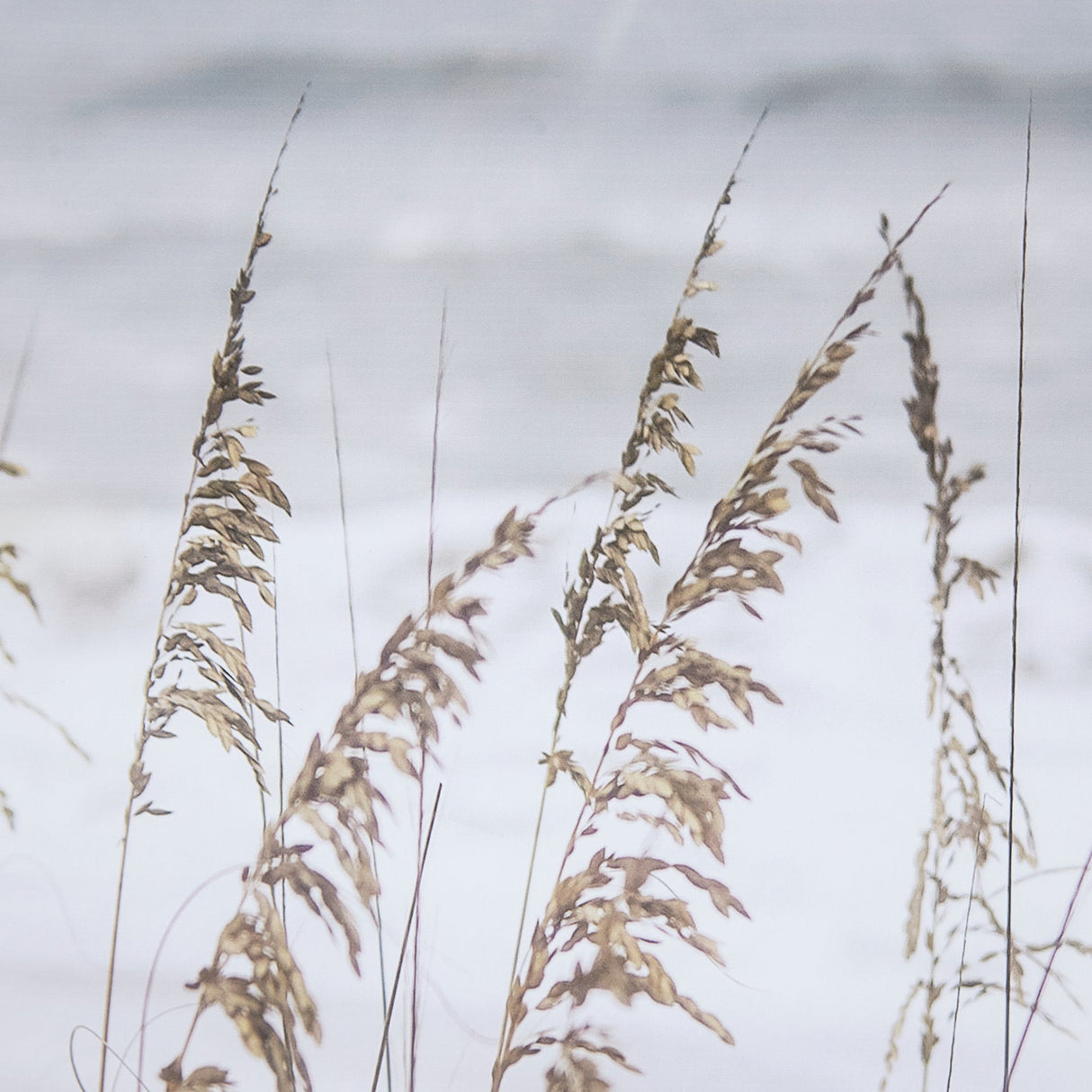 Silver Seagrass by Marlana Semenza a Hand Embellished Textured Framed Photo Art Print Matted under G by Mercana at Eve Furniture