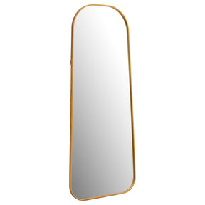 Simeon Antique Gold Metal Frame Full Length 51" Floor Mirror by Coaster at Eve Furniture