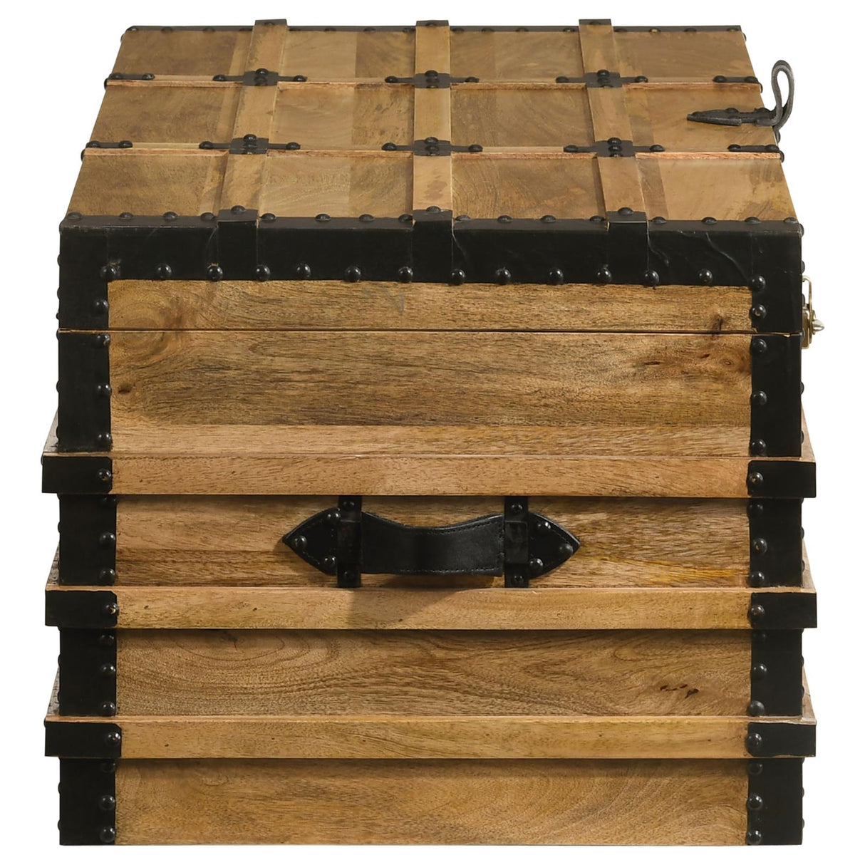 Simmons Natural/Black Rectangular Storage Trunk