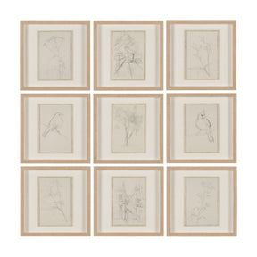 Sketch Collection (Set of 9) by Mercana Studio a Hand Embellished Framed Art Print Matted under Glas by Mercana at Eve Furniture