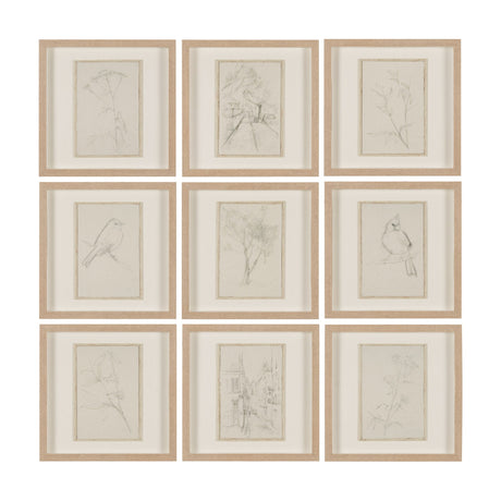 Sketch Collection (Set of 9) by Mercana Studio a Hand Embellished Framed Art Print Matted under Glas by Mercana at Eve Furniture