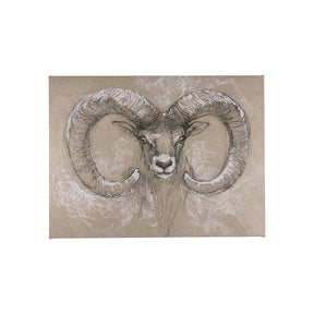 Sketch of animal I (Wild sheep) by Mercana Studio a Hand Embellished Textured Canvas by Mercana at Eve Furniture