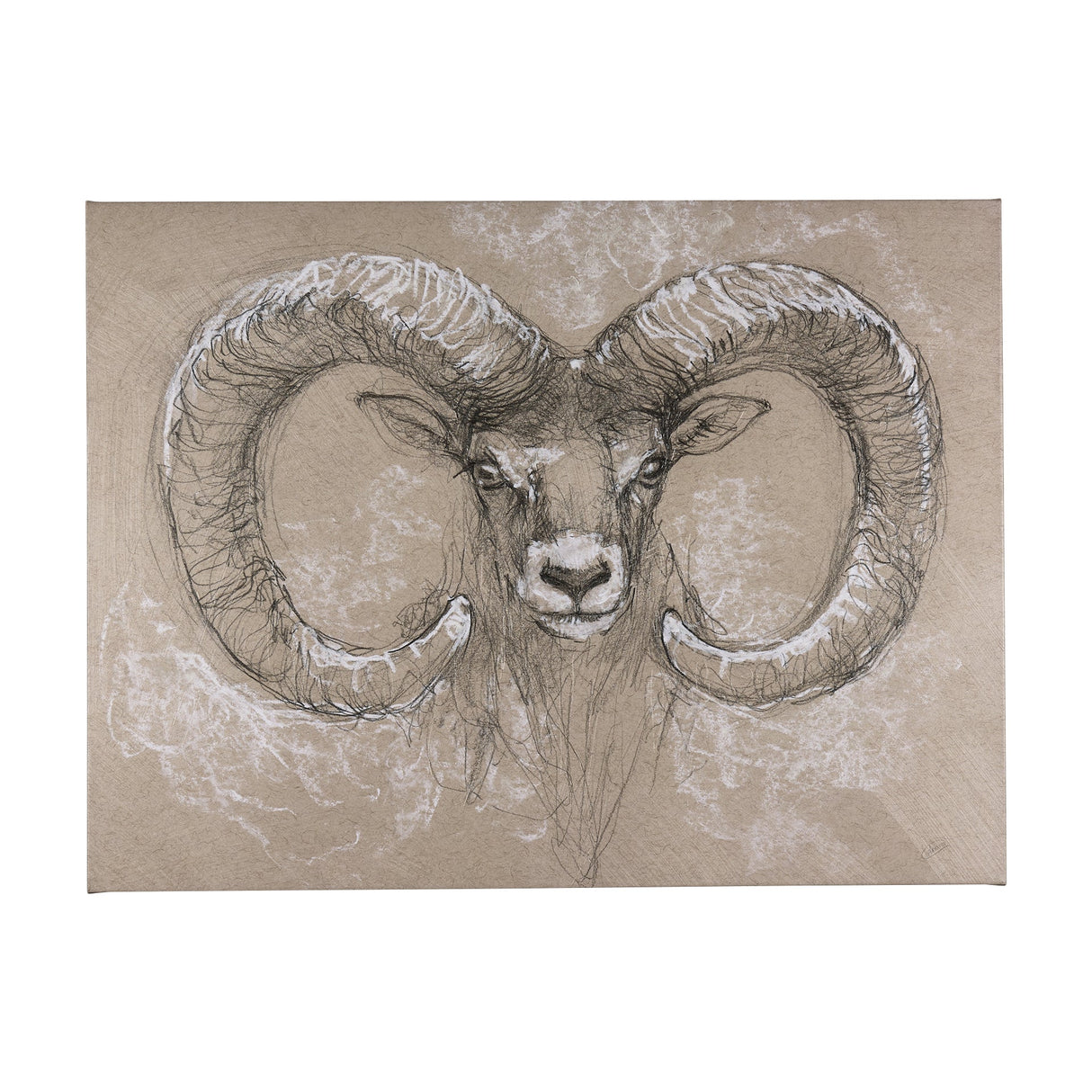 Sketch of animal I (Wild sheep) by Mercana Studio a Hand Embellished Textured Canvas by Mercana at Eve Furniture