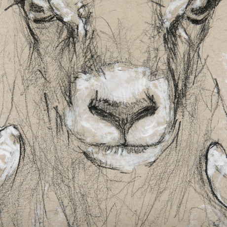Sketch of animal I (Wild sheep) Mercana Studio Hand Embellished Framed Art Print Matted under Glass by Mercana at Eve Furniture