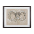 Sketch of animal I (Wild sheep) Mercana Studio Hand Embellished Framed Art Print Matted under Glass by Mercana at Eve Furniture