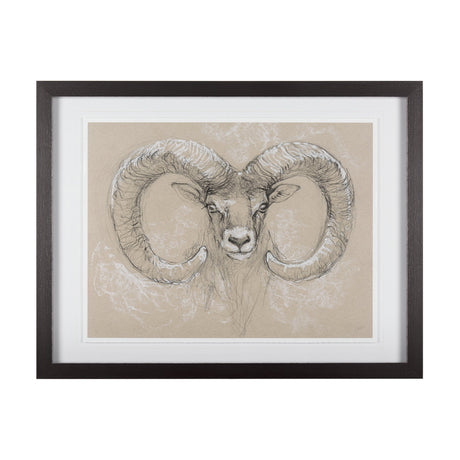 Sketch of animal I (Wild sheep) Mercana Studio Hand Embellished Framed Art Print Matted under Glass by Mercana at Eve Furniture