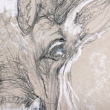 Sketch of animal II (Caribou) by Mercana Studio a Hand Embellished Textured Canvas by Mercana at Eve Furniture