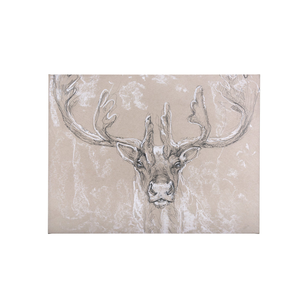 Sketch of animal II (Caribou) by Mercana Studio a Hand Embellished Textured Canvas by Mercana at Eve Furniture