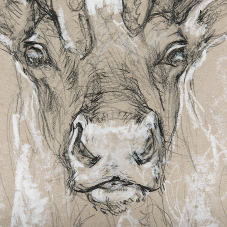 Sketch of animal II (Caribou) by Mercana Studio Hand Embellished Framed Art Print Matted under Glass by Mercana at Eve Furniture