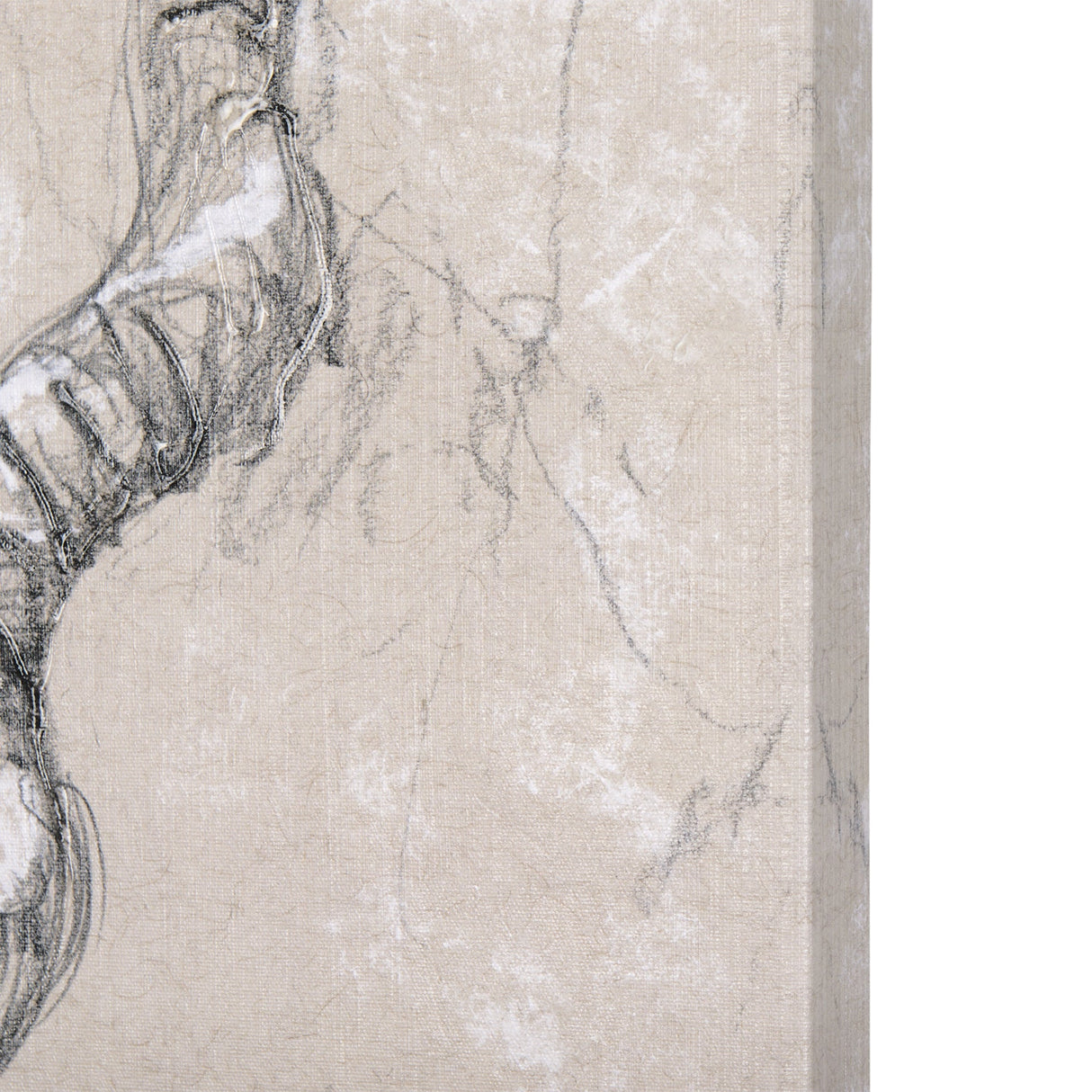 Sketch of animal III (Antelope) by Mercana Studio a Hand Embellished Textured Canvas by Mercana at Eve Furniture