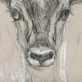Sketch of Animal III (Antelope) Mercana Studio Hand Embellished Framed Art Print Matted under Glass by Mercana at Eve Furniture