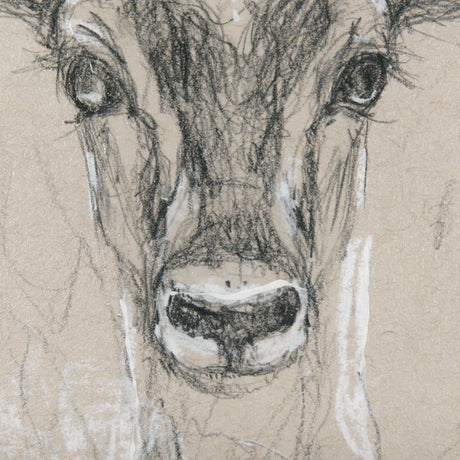 Sketch of Animal III (Antelope) Mercana Studio Hand Embellished Framed Art Print Matted under Glass by Mercana at Eve Furniture