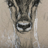 Sketch of Animal III (Antelope) Mercana Studio Hand Embellished Framed Art Print Matted under Glass by Mercana at Eve Furniture