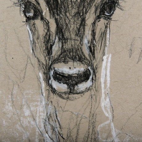 Sketch of Animal III (Antelope) Mercana Studio Hand Embellished Framed Art Print Matted under Glass by Mercana at Eve Furniture