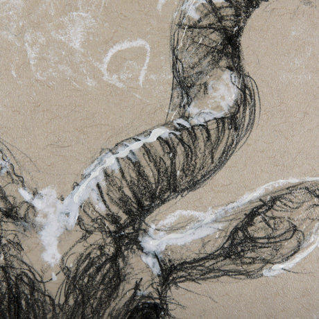 Sketch of Animal III (Antelope) Mercana Studio Hand Embellished Framed Art Print Matted under Glass by Mercana at Eve Furniture