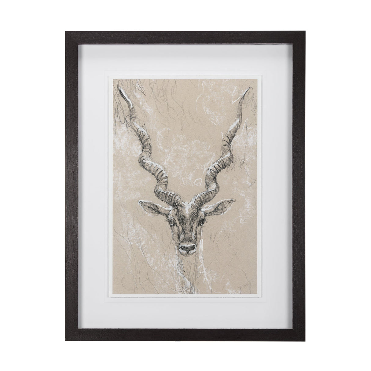 Sketch of Animal III (Antelope) Mercana Studio Hand Embellished Framed Art Print Matted under Glass by Mercana at Eve Furniture