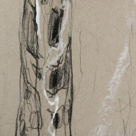 Sketch of Animal IV (Giraffe) by Mercana Studio Hand Embelished Framed Art Print Matted under Glass by Mercana at Eve Furniture