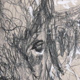 Sketch of animal IX (Bison) by Mercana Studio a Hand Embellished Textured Canvas by Mercana at Eve Furniture