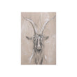Sketch of animal V (Goat) by Mercana Studio a Hand Embellished Textured Canvas by Mercana at Eve Furniture