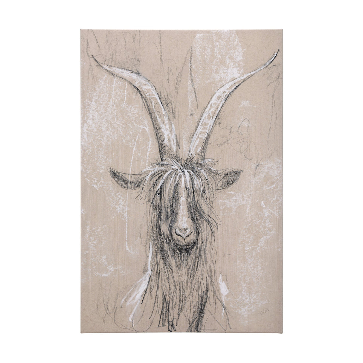 Sketch of animal V (Goat) by Mercana Studio a Hand Embellished Textured Canvas by Mercana at Eve Furniture
