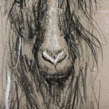 Sketch of Animal V (Goat) by Mercana Studio Hand Embellished Framed Art Print Matted under Glass by Mercana at Eve Furniture