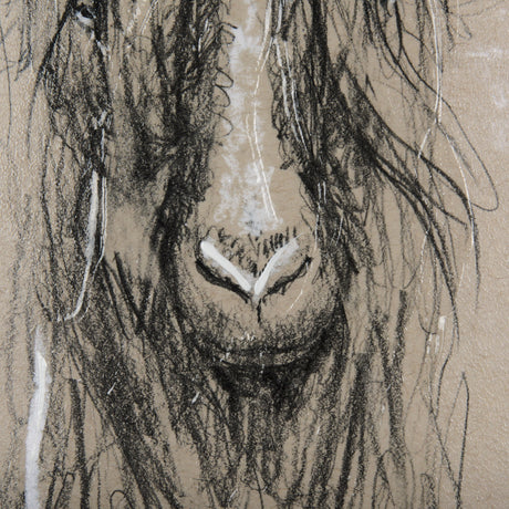 Sketch of Animal V (Goat) by Mercana Studio Hand Embellished Framed Art Print Matted under Glass by Mercana at Eve Furniture