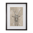 Sketch of Animal V (Goat) by Mercana Studio Hand Embellished Framed Art Print Matted under Glass by Mercana at Eve Furniture