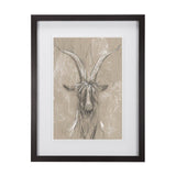 Sketch of Animal V (Goat) by Mercana Studio Hand Embellished Framed Art Print Matted under Glass by Mercana at Eve Furniture