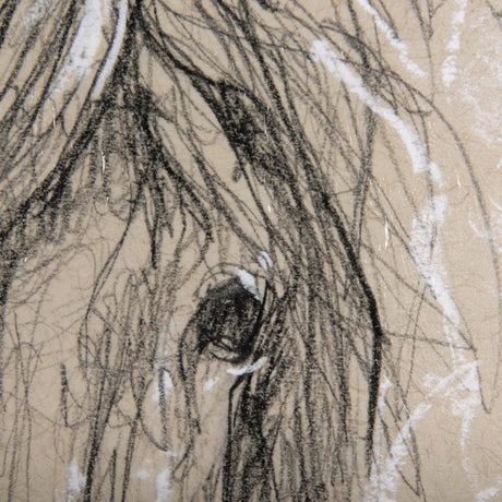 Sketch of Animal VI (Pony) by Mercana Studio Hand Embellished Framed Art Print Matted under Glass by Mercana at Eve Furniture