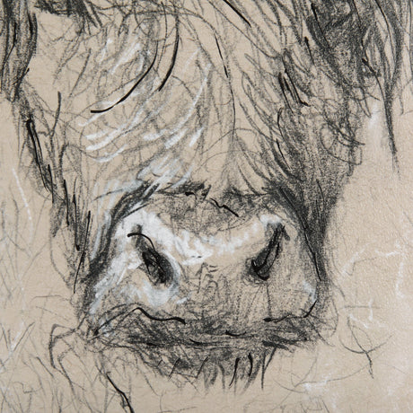 Sketch of Animal VIII by Mercana Studio Hand Embellished Framed Art Print Matted under Glass by Mercana at Eve Furniture